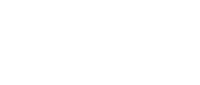 V2 logo bianco